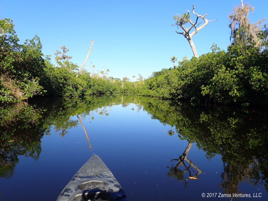 Jonathan Dickinson Canoeing Reflections Zamia Ventures