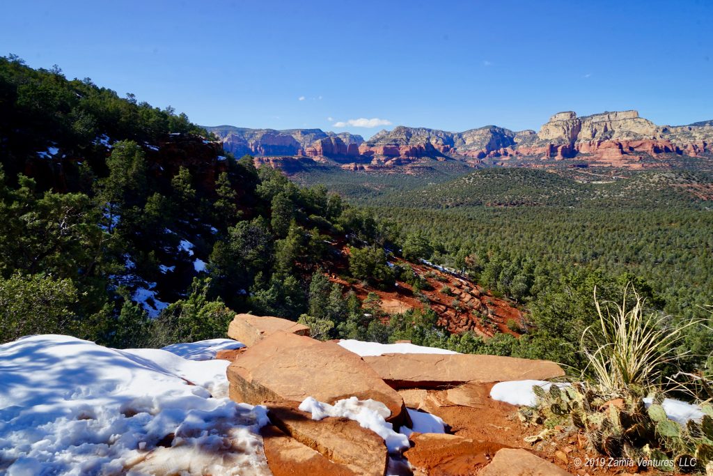 Hitting Arizona’s High Country in Cottonwood Zamia Ventures