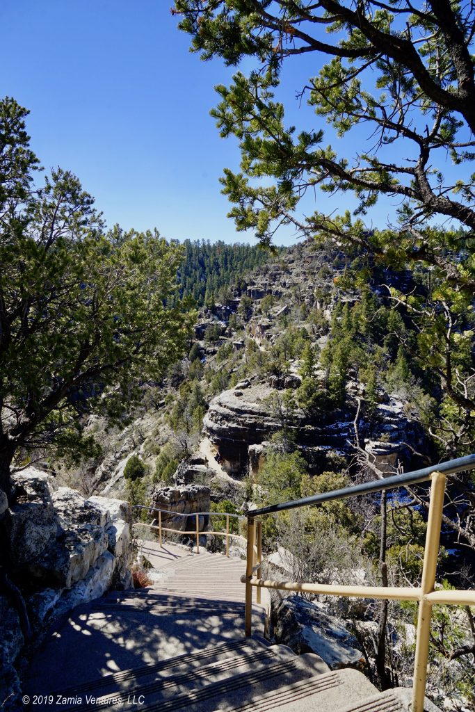 Flagstaff Walnut Canyon Stairs Zamia Ventures