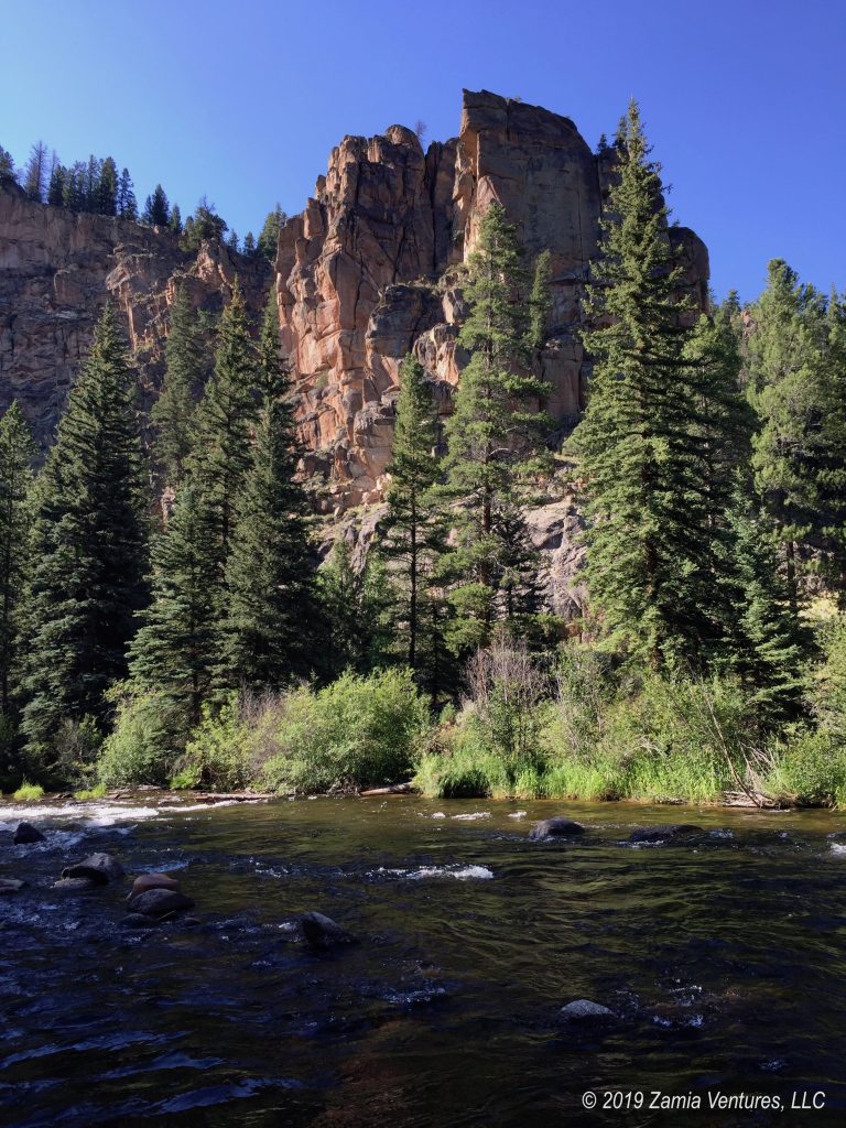 Taylor River View Zamia Ventures