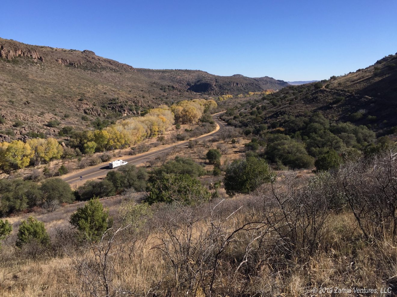 So Many Stars at Davis Mountains State Park Zamia Ventures