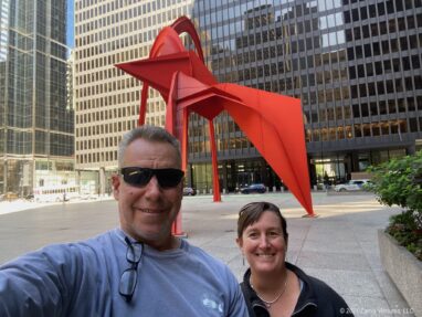 Chicago SBKS Calder Flamingo