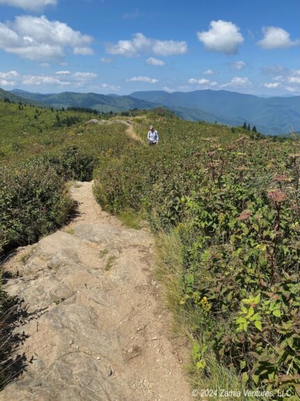 BRP Black Balsam Hike