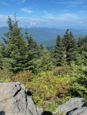 BRP Mount Mitchell Hike Views