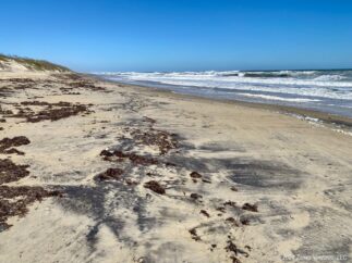 OBX Coquina Beach