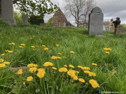 Highlands Beauly Priory Yard