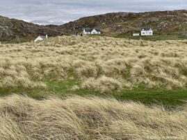 Highlands Coastal Homes