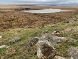 Highlands Peat Bogs