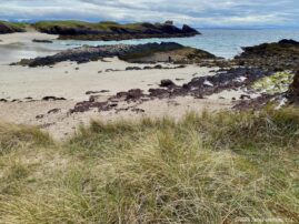 Highlands Sandy Beach