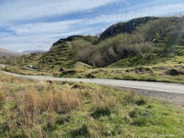 Highlands Skye Eroded Hillocks and Rowans