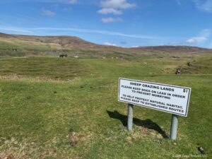 Highlands Skye Sheep Warning