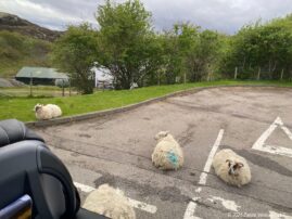 Highlands Traffic Jam