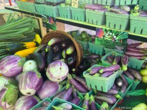 Cobblestone Purple Clay Eggplants