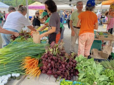 Cobblestone Sungold Farm Natalie