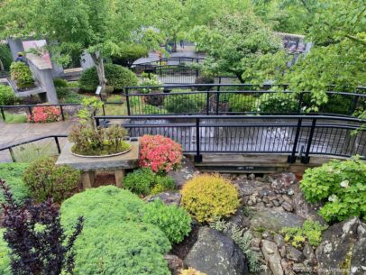 NC Arboretum Japanese Garden