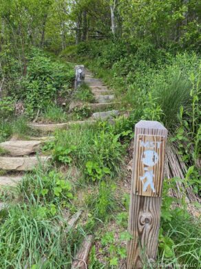 Pisgah Inn MST Trail Sign