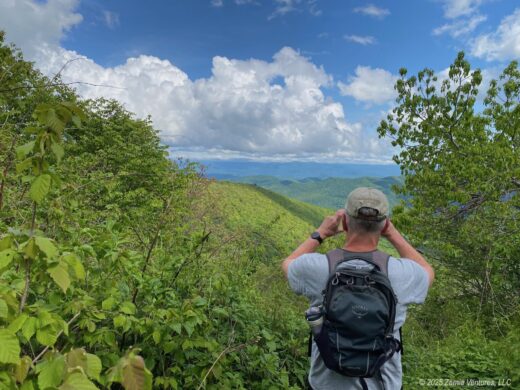 Pisgah Overlook Near Little Bald