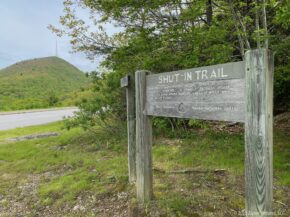 Pisgah Shut In Trail Description and Mt Pisgah in Background