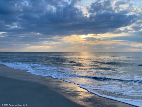 Carolina Beach Morning Walk
