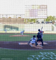 Dash Baseball Action