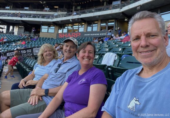 Dash Baseball with Friends