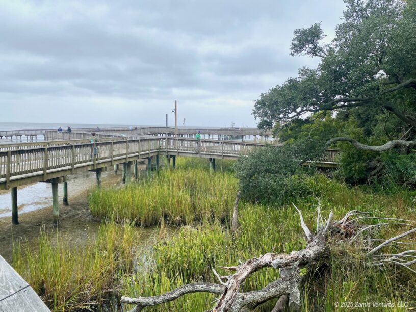 Duck Boardwalk with Marsh Grasses