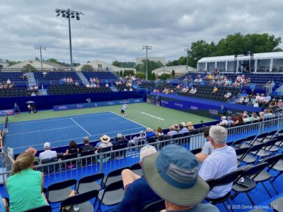 WS Open View of the Action