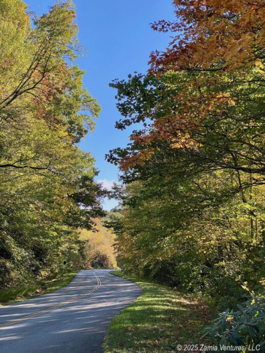 BR Parkway Some Fall Colors