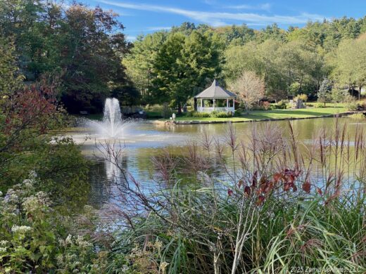 Blowing Rock Town Park