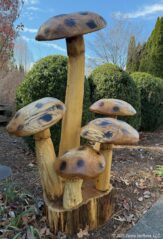 Echoes of the Forest Mushrooms