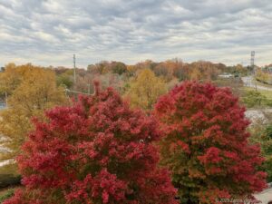 Fall Colors Balcony View