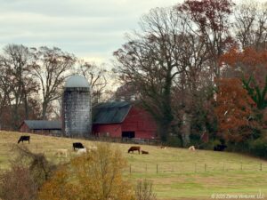 Fall Colors Crossnore Farm