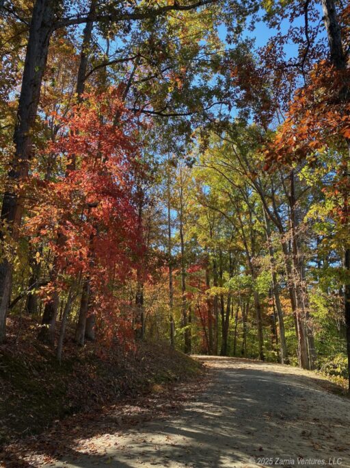 Fall Colors Salem Lake