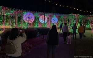 Winter Lights Attendees