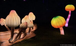 Winter Lights Mishrooms