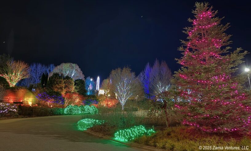 Winter Lights Parking Area