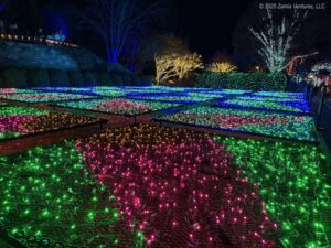 Winter Lights Quilt Garden