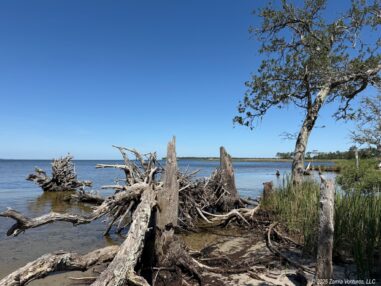 OBX Bayside View