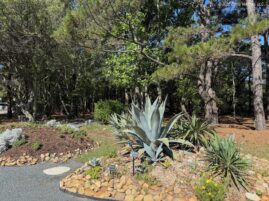 OBX Teaching Garden