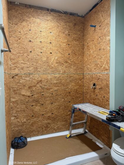 Shower New Walls