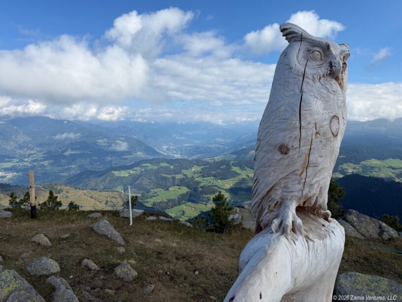 Ortisei Rasciesa Owl and Valley View