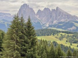 Ortisei Seiseralm Sassolungos and Firs